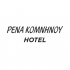 Rena Komninou